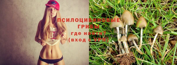 синтетический гашиш Богданович