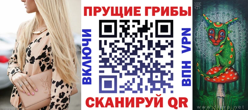 наркошоп  Октябрьский  Псилоцибиновые грибы MAGIC MUSHROOMS 